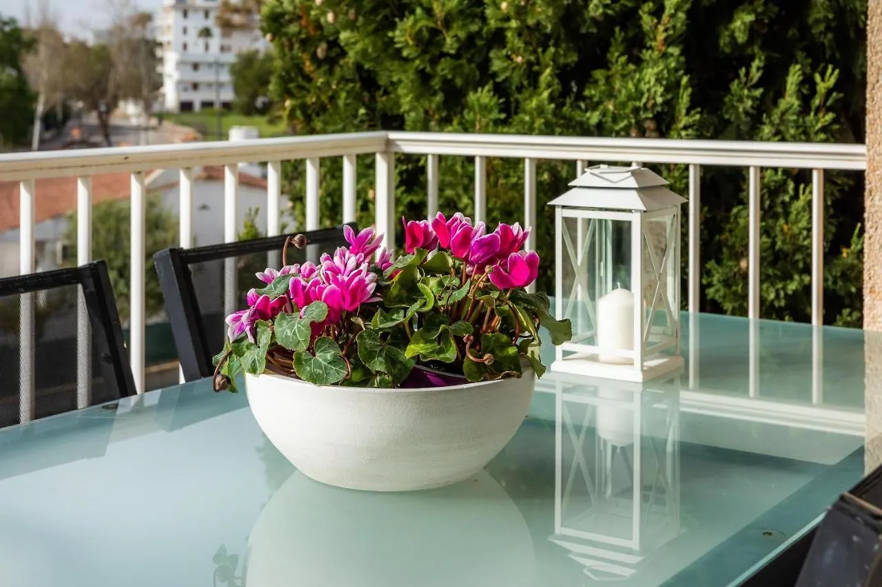 Angy Apartment Alcudia  Spain